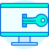 Cyber Security Icon 28